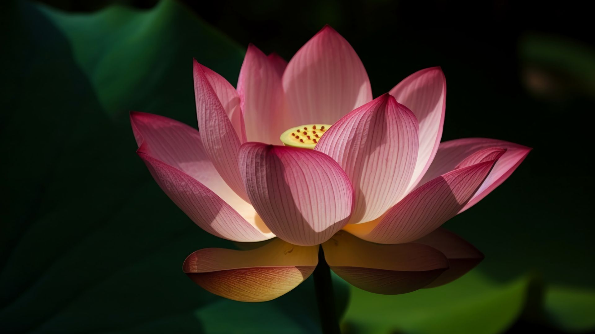 Tip of the Day – September 25, 2025: Stay Mentally Positive post thumbnail image