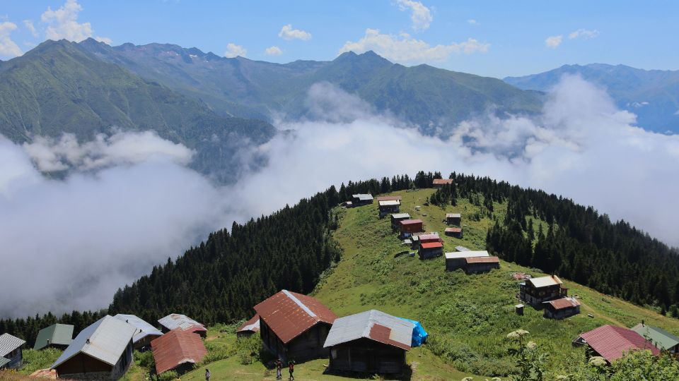 From Passion Health Primary Care – Timely, Reliable, Regionally Relevant post thumbnail image