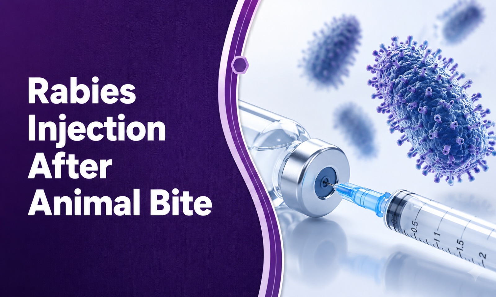 Rabies: Causes, Animal Bite First Aid, Injection Use, and Prevention
