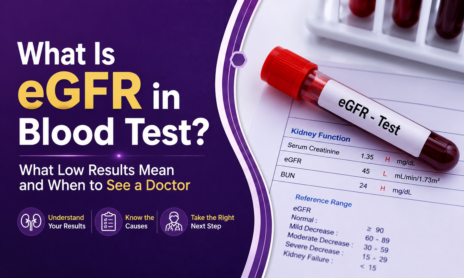 What Is eGFR in Blood Test? What Low Results Mean and When to See a Doctor