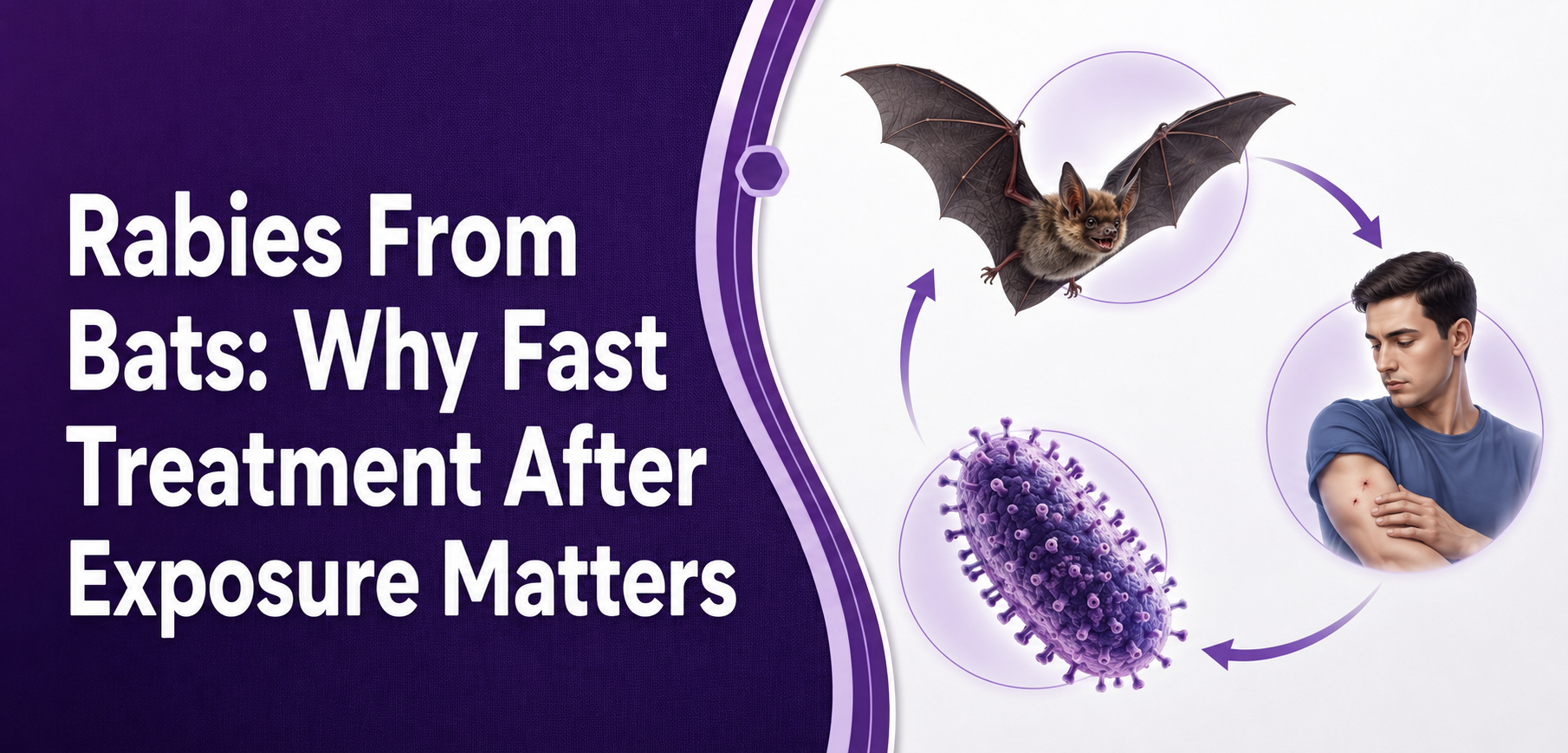 Rabies From Bats: Why Fast Treatment After Exposure Matters