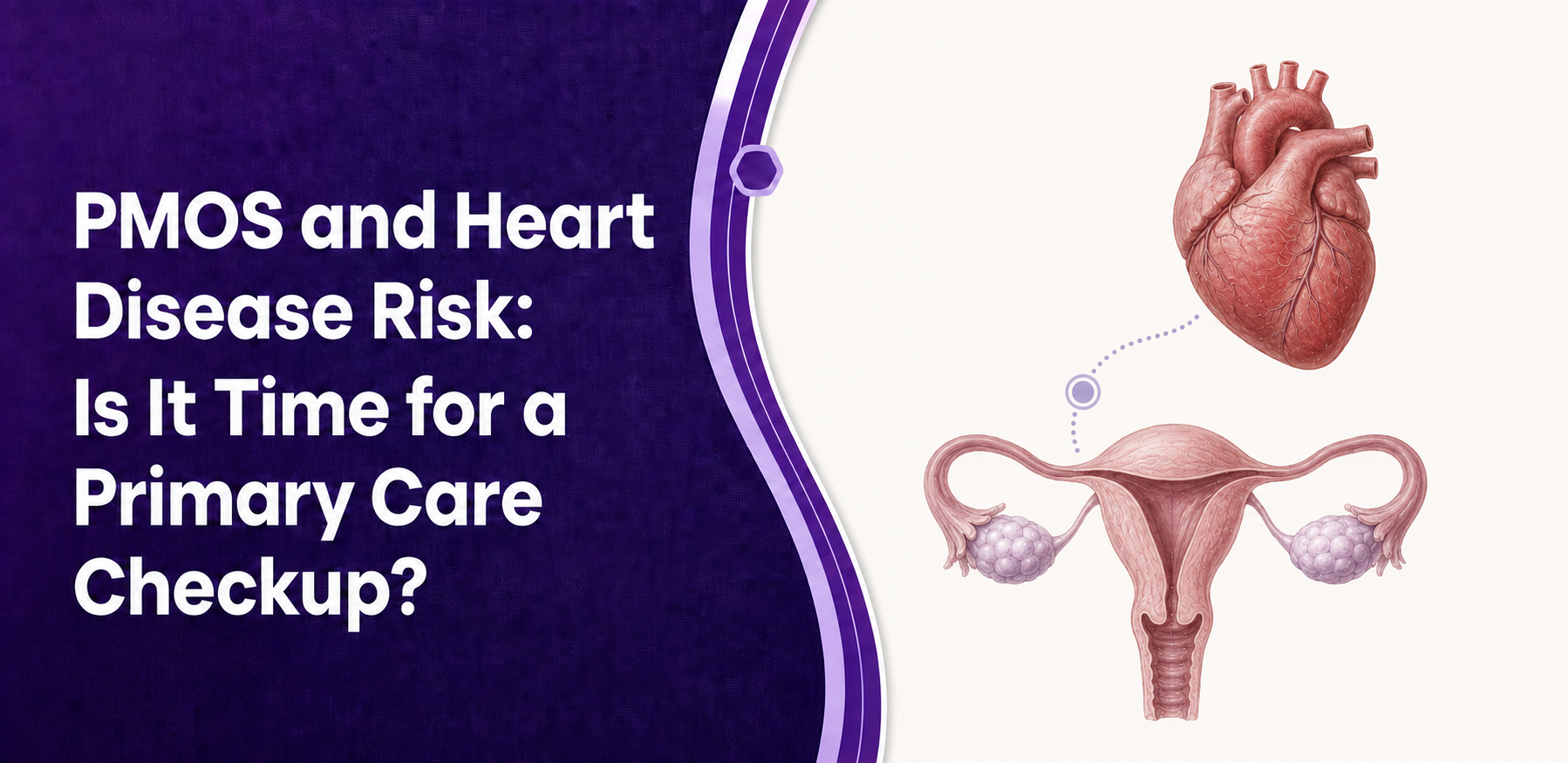 PMOS and Heart Disease Risk: Is It Time for a Primary Care Checkup? post thumbnail image
