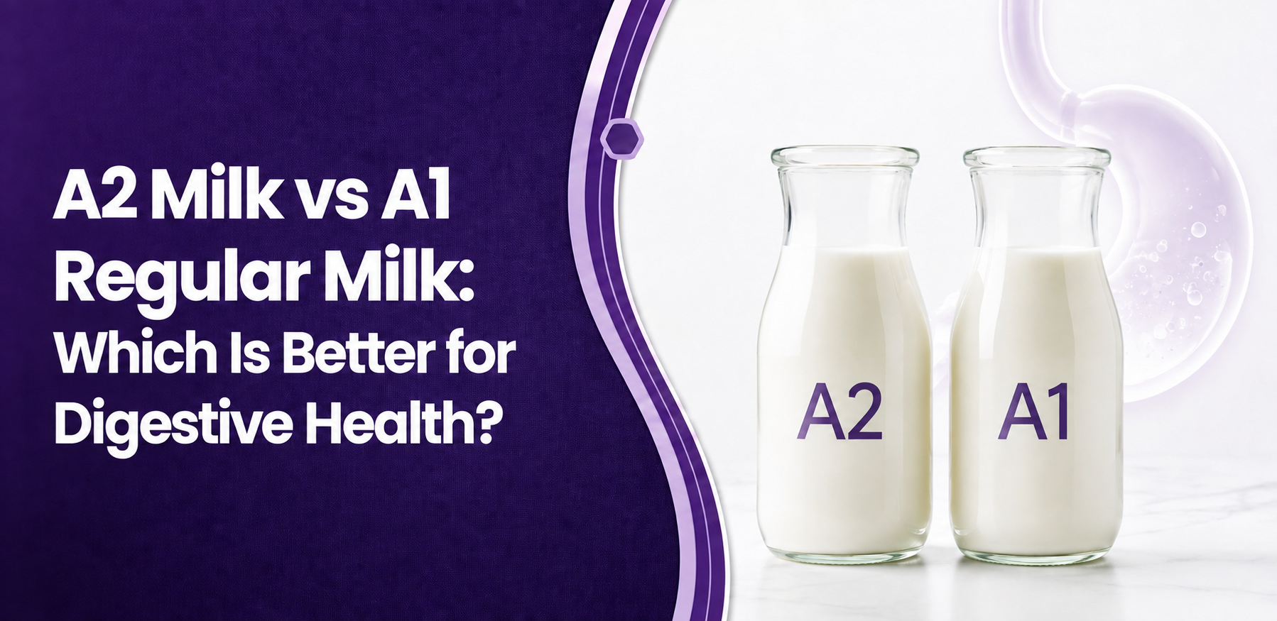 A2 Milk vs. A1 Regular Milk: Which Is Better for Digestive Health?