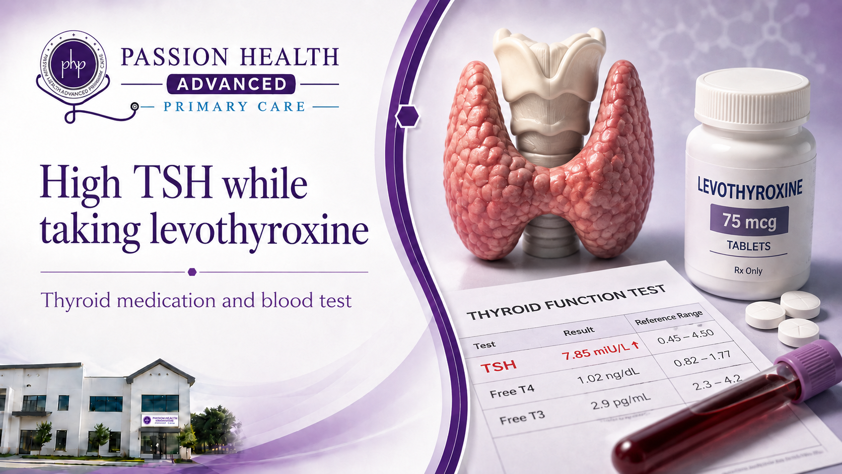 High TSH While Taking Levothyroxine: How to Improve Your Thyroid Levels post thumbnail image