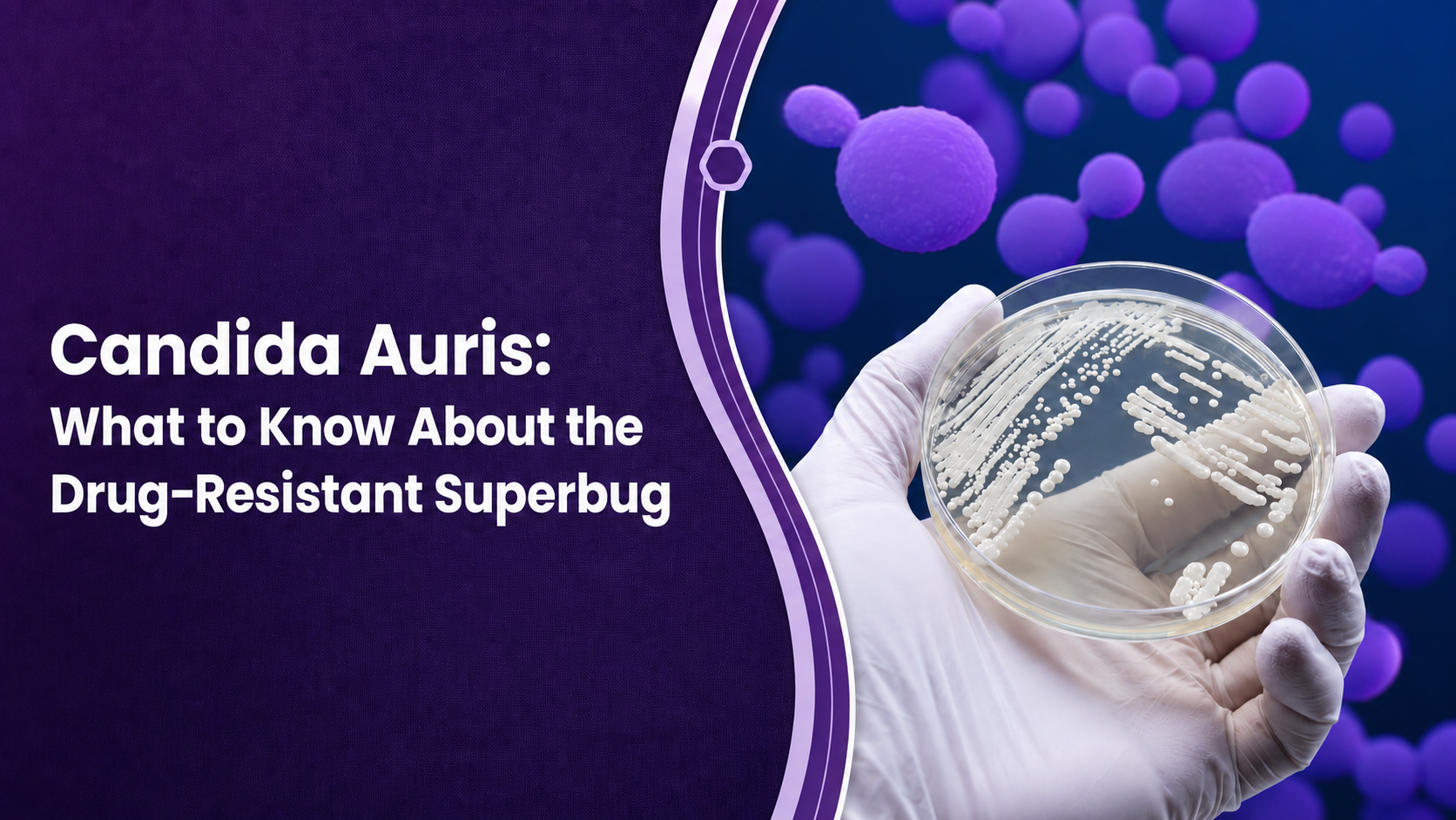 Candida Auris: What to Know About the Drug-Resistant Superbug