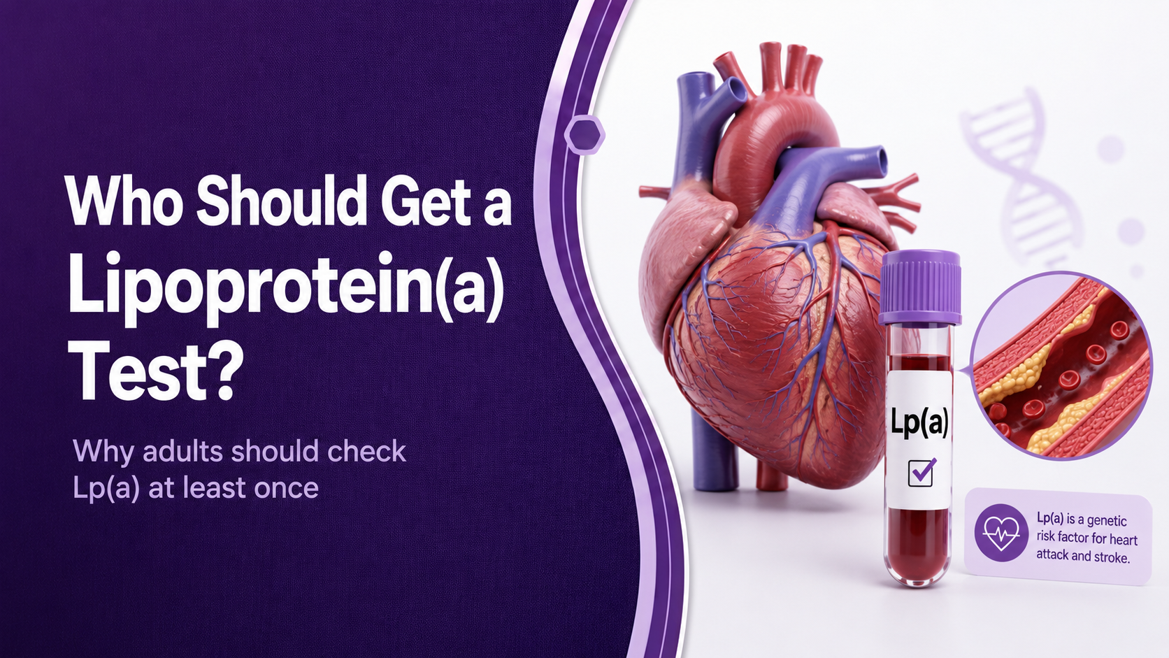 Who Should Get a Lipoprotein(a) Test? Why Adults Should Check Lp(a) at Least Once